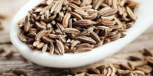 Organic Cumin Seed