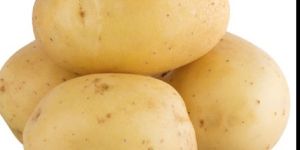 Potato