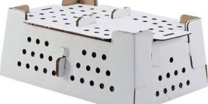 Corrugated Chick Packaging Boxes