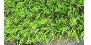 Artificial Grass