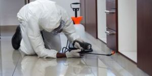 Pest Control Services