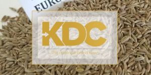 European Quality Cumin Seeds