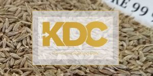 Singapore Quality Cumin Seeds