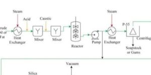 Glycerolysis Fatty Acid Plants