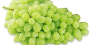 Fresh Grapes