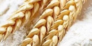 Wheat Flour