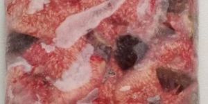 Frozen Fig Fruit Slice