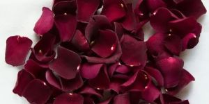 Dried Red Rose Petals