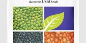 Shyam Urad Seeds