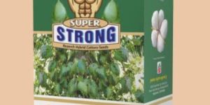 Super Strong Non BT Hybrid Cotton Seeds