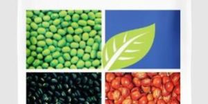 Valsad White Tur Seeds