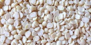 White Lentils