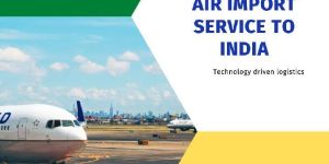 Air Import Service