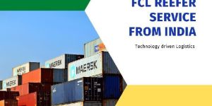 Reefer FCL Export Service