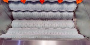 Brush Cleaning Peeling Machine - 800