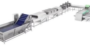 Mango Sorting and Grading Line