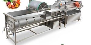 Vegetable and Fruit washer- Voetex Model