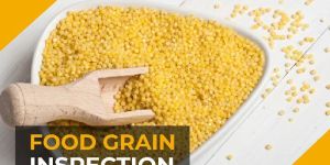 Food Grain Inspection Services in India