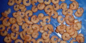 Frozen Cooked Salad Shrimps