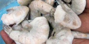 Frozen Ez Peel Shrimps