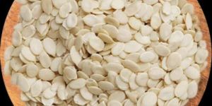 Melon Seeds