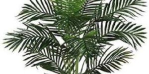 Artificial Palm Tree