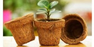 COIR POT FOR NURSERY SEEDS