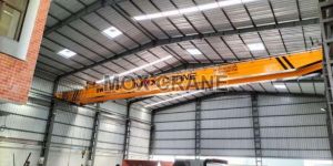 Double Girder EOT Crane