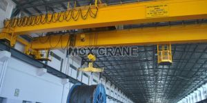 Heavy Duty Dg EOT Crane