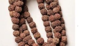 Rudraksha Mala