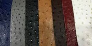 Ostrich Leather