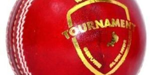 Tournament Leather Ball