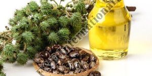 Castor Carrier Oil