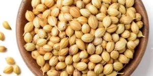 Coriander Seed