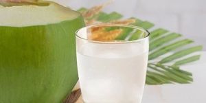 Tender Coconut Water Premix Powder