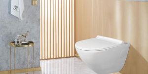 Ceramic Sanitaryware