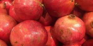 Fresh Fruits