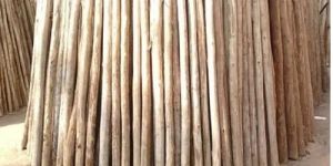Wood Balli