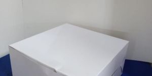 Plain White Corrugated Box