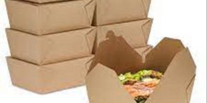 Disposable Paper Fast Food Box
