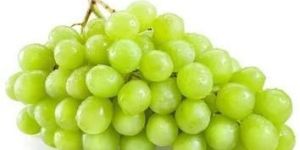 Fresh Grapes