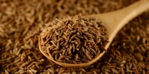 Cumin Seed