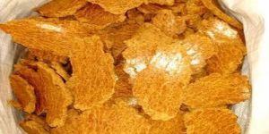 Maize Oil Cake/ Corn Oil Cake / Makai Khol