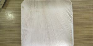 Eco Friendly Disposable Plates