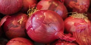 Fresh Red Onion