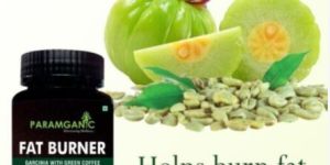 Fat Burner