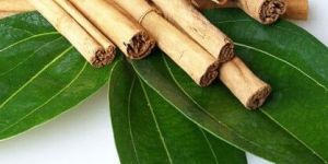 Cinnamon Leaf Essential Oil