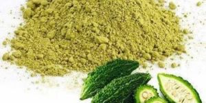Dehydrated Bitter Gourd Powder