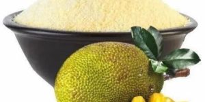 Dehydrated Jackfruit Powder