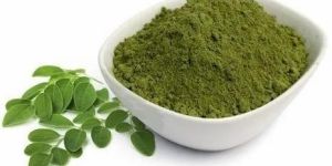 Dehydrated Moringa Powder